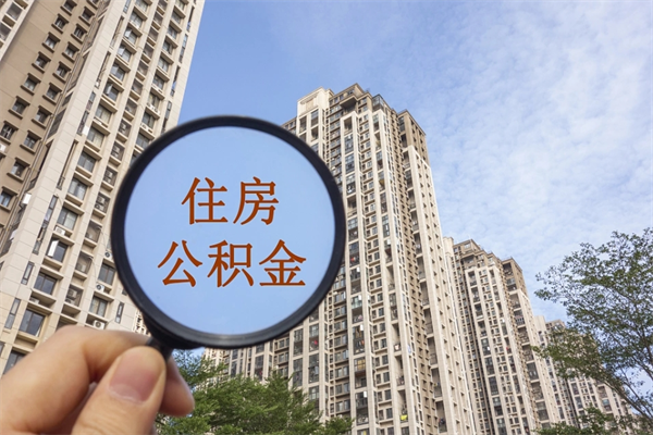 和县离职可以取出公积金吗（离职可以取公积金嘛）